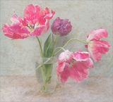 Ragged Tulips