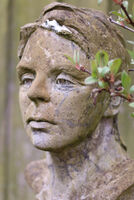 In the garden