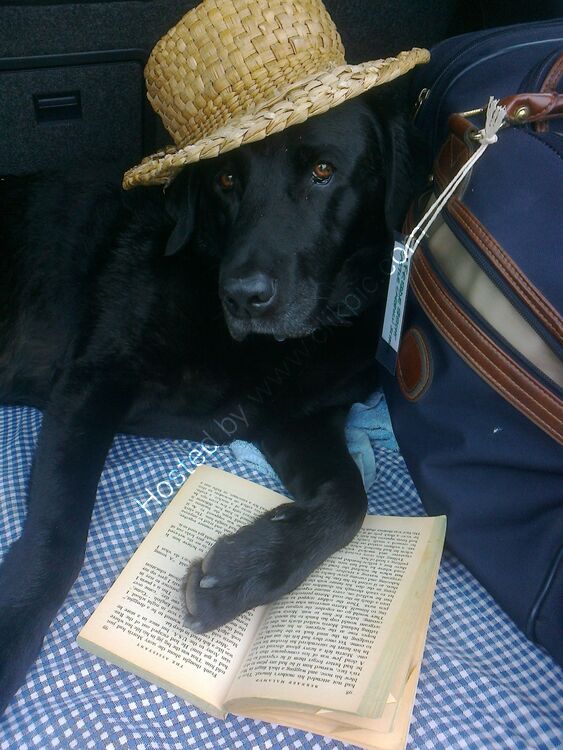 CHUTNEY GOES ON HOLIDAY