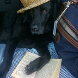 CHUTNEY GOES ON HOLIDAY