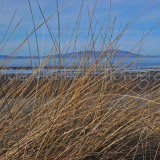 CRIFFEL