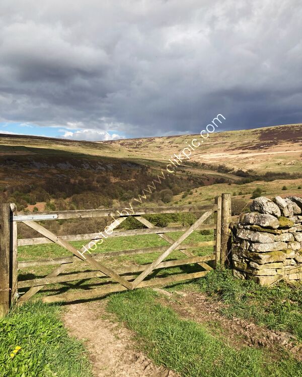 GELTSDALE IN SPRING