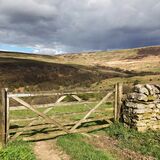 GELTSDALE IN SPRING