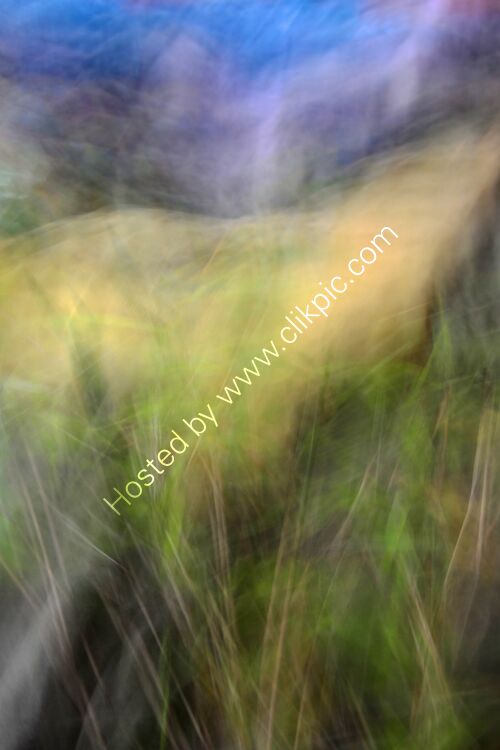 LOOKING UP THE VALLEY