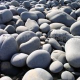 THE BEACH
