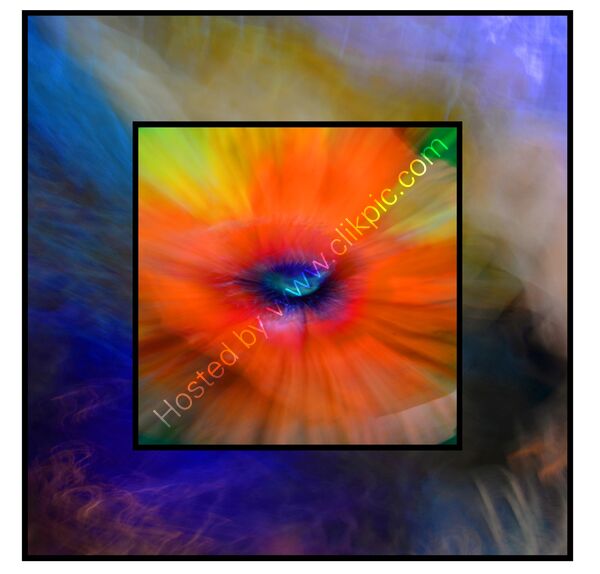 THE POPPY WINDOW (SQUARE ONLY)