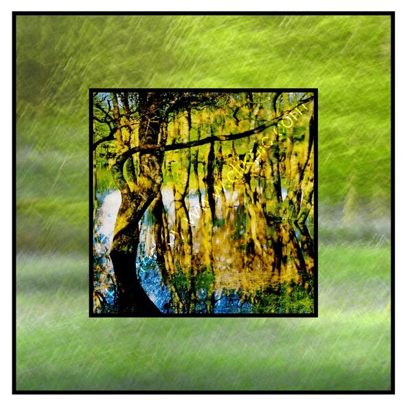 WOODLAND WINDOW (SQUARE ONLY)