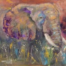 Bold Colour Abstract Elephant