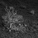 Landscape Photography