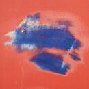 Swimming gyin a red sea