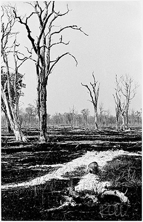Elegy for Luangwa