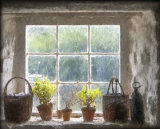 Cottage window - Ian Ledgard