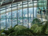 Sky garden - Jane Evans