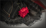 Scarlet and black - Mary Pipkin