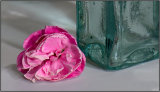 Textures - Mary Pipkin