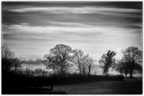 The Dimming of the day - Larry Williams