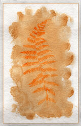 Fern print - Mary Pipkin