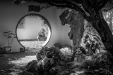 Through the Round window - Larry Williams