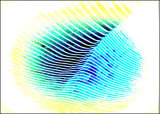Contours - Sue Hiley