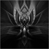 Abstract 4 - Martin Smith