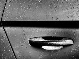 Wet - Ian Ledgard