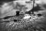 Bouy - John Hufferdine