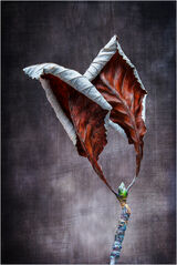 Dancing leaves = Martin Smith