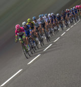 Peleton - Lynne Ball