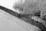 Under the bridge - Larry Williams