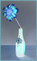 Blue - Ian Ledgard