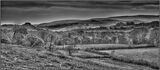 Distant castle - Ian Ledgard