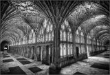 Gloucester cloisters - Ian Ledgard