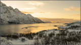 Golden fjord - Ian Ledgard