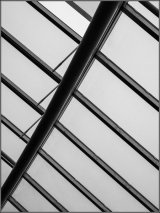 Great glasshouse - Cliff Price
