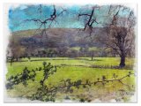 Local view - Jane Evans