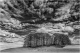 Penlan IR - Martin Smith