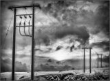 Powerlines - Ian Ledgard