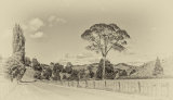 Rural sketch - Ian Ledgard