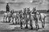 Show team - Ian Ledgard