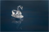 Swan lake - Martin Smith
