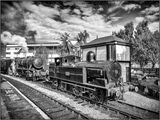 Tank engine and workhorse - Ian Ledgard