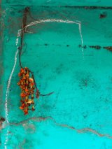 Turquoise wall - Jane Evans