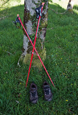 Lockdown Nordic walking - Sue Hiley
