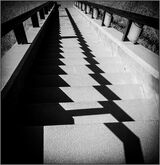 Shadow teeth - Ian Ledgard
