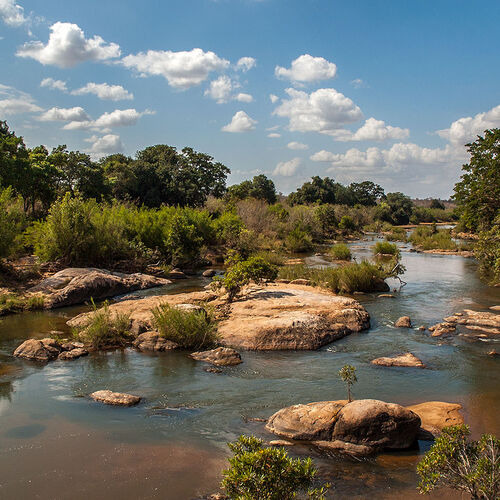 Sabie River