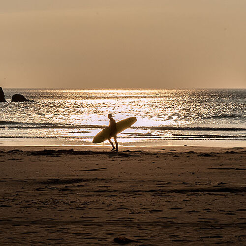 Last surfer