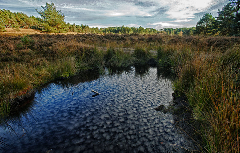 Remote & mysterious pool