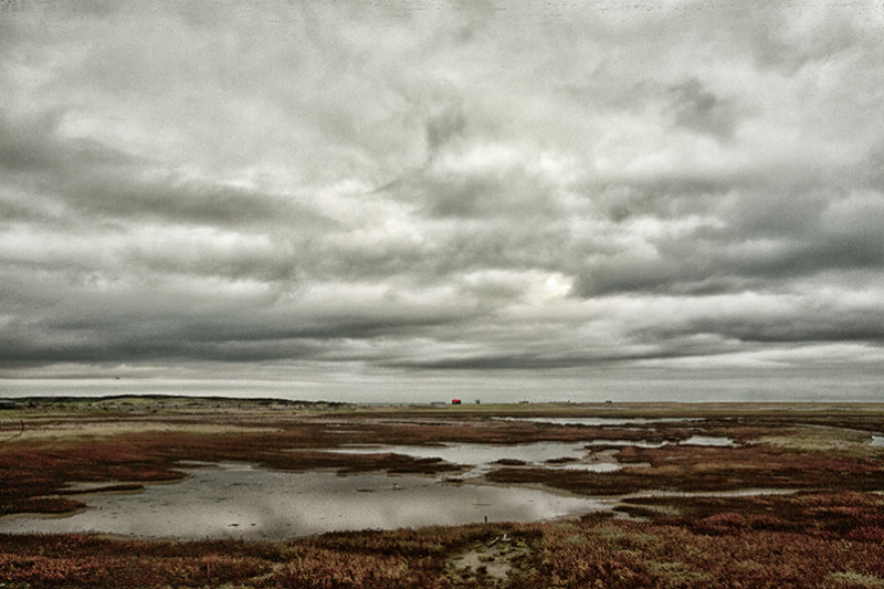Autumn arrives, Rye Harbour