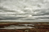 Autumn arrives, Rye Harbour