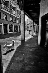 Sol y sombra